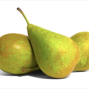 Pear English Hudson Conference 7 Pack