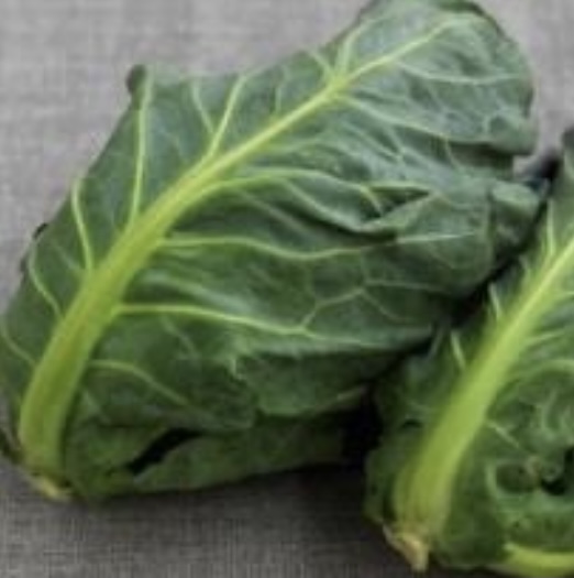 Cabbage- Spring greens