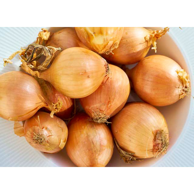Onions- Shallots round