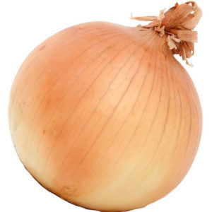 Onion- Large Spanish