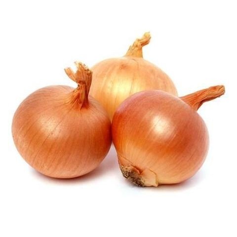 Onion – Brown onion